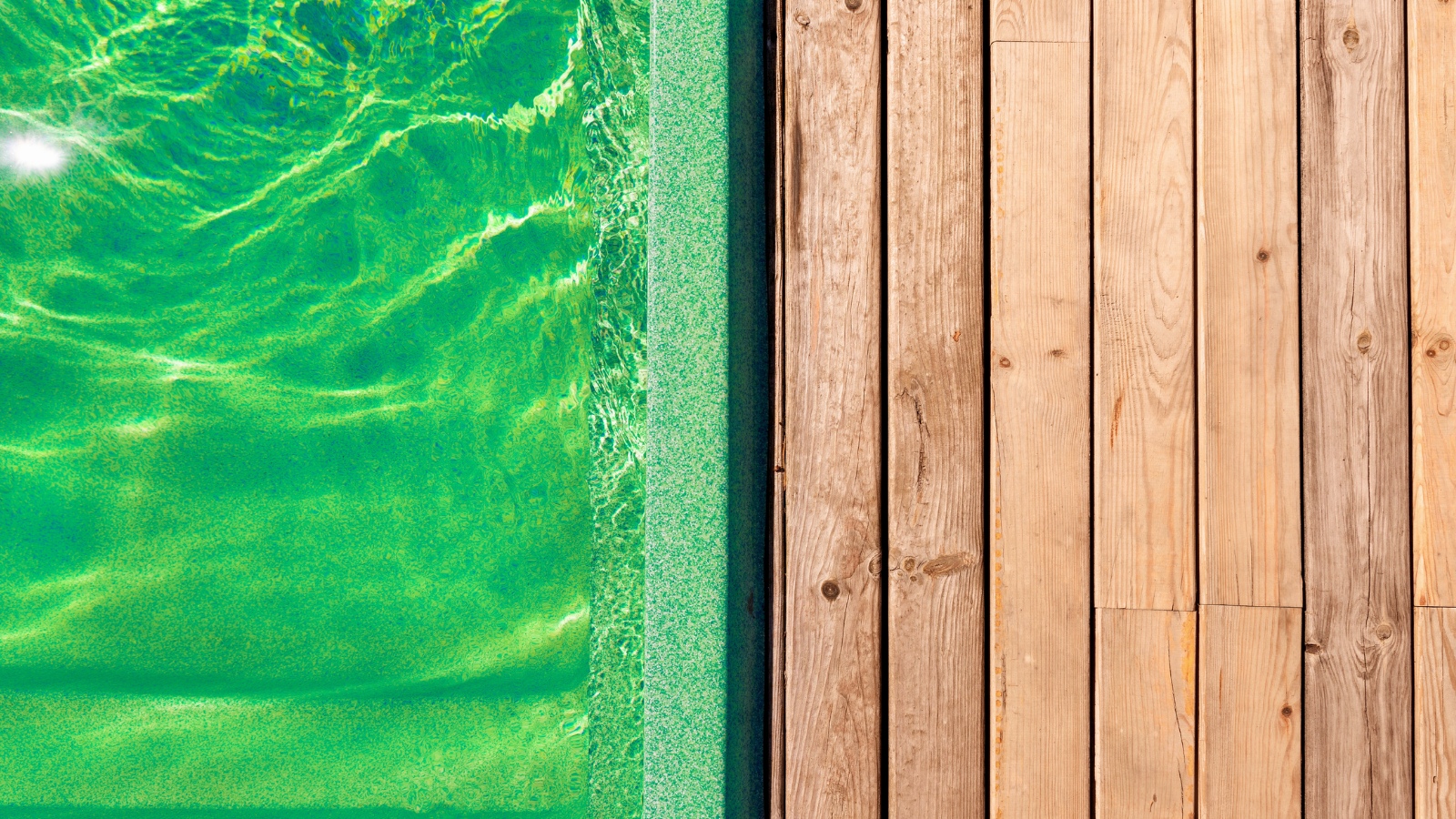 Why Fibreglass Pool Water Turns Green and How to Fix It