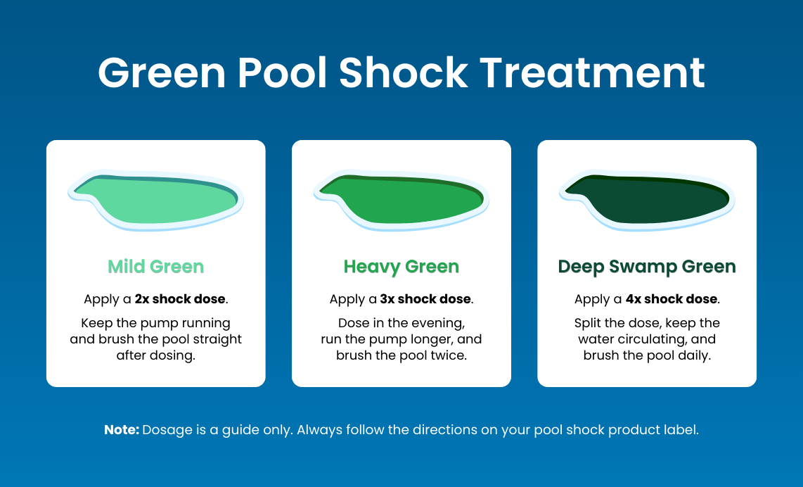 Green pool water shock treatment: mild (2x dosage) vs heavy (3x dosage) vs deep swamp (4x dosage) green water
