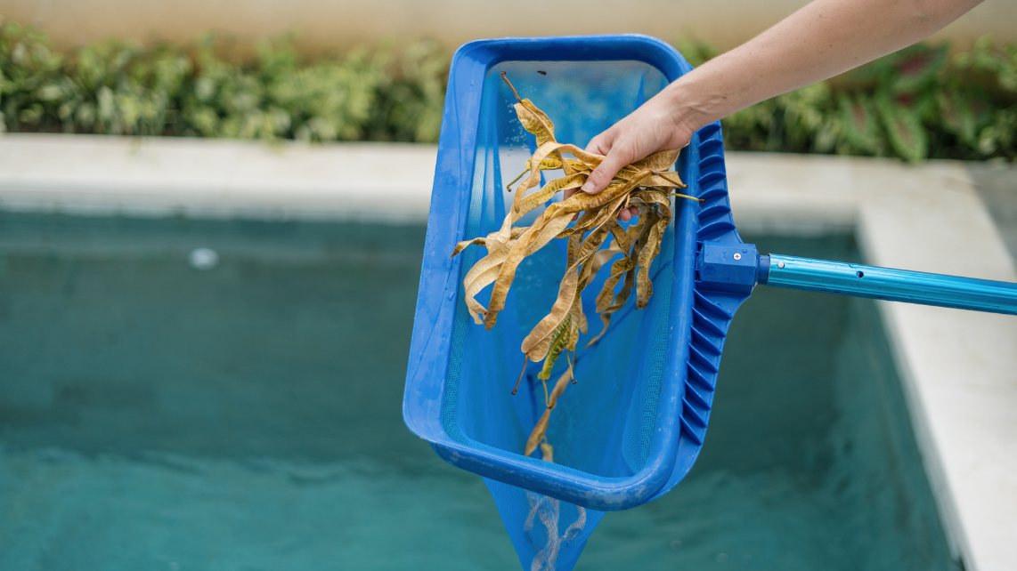 A person skimming the leaves on their pool