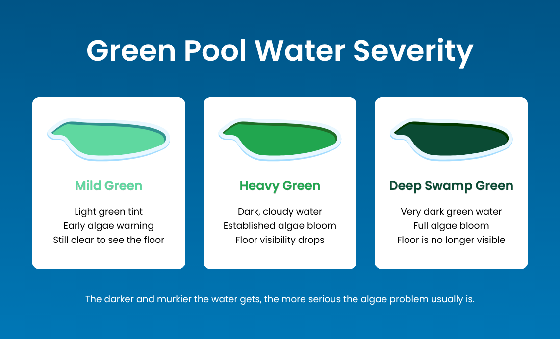 Green pool water severity: mild vs heavy vs deep swamp green water