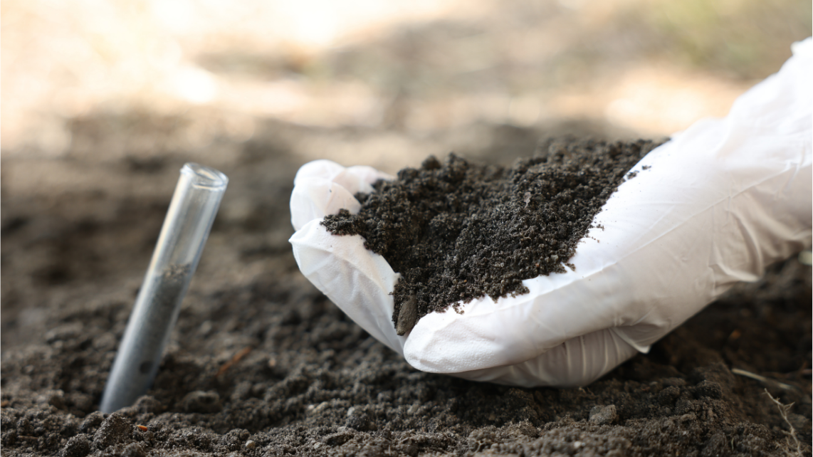 An image of a hand with gloves holding a soil sample together with a test tube, emphasising soil testing
