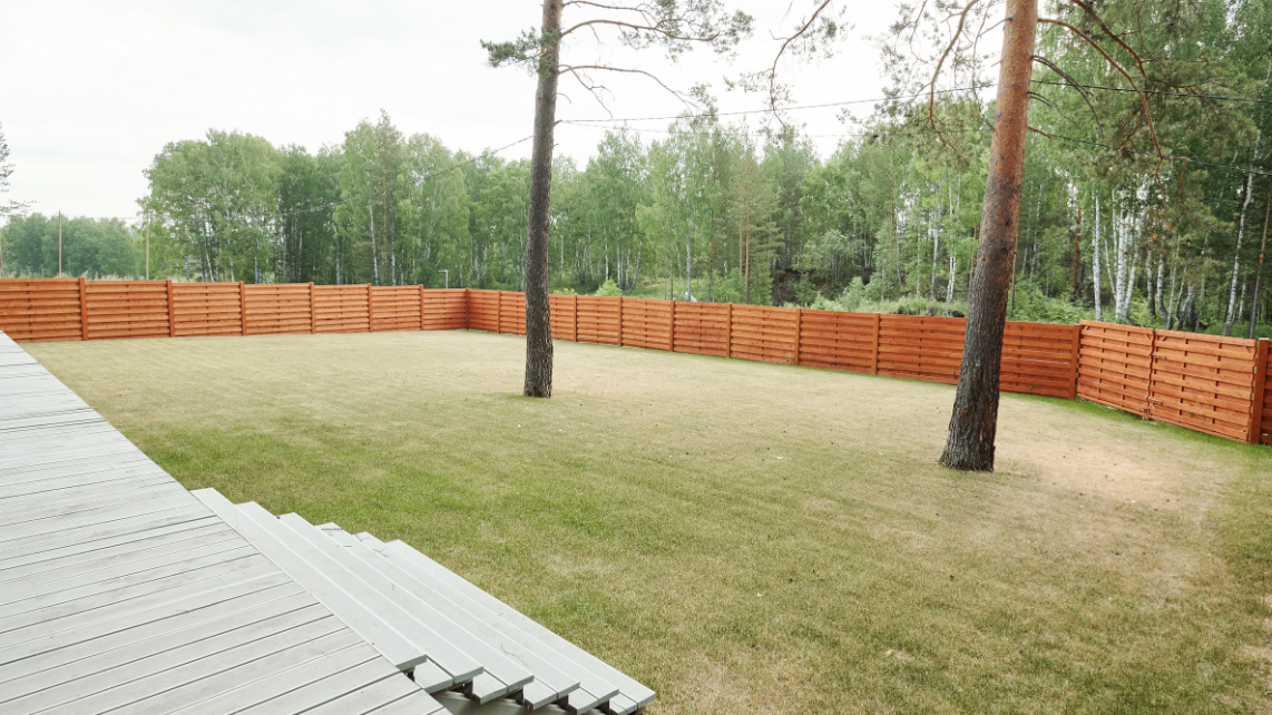 An image of a spacious backyard
