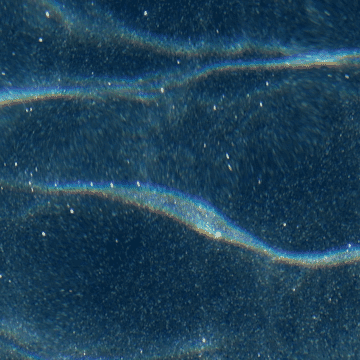 Natural Blue Grey Starlight